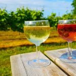 30 Fakta Om Danske Vingårde 