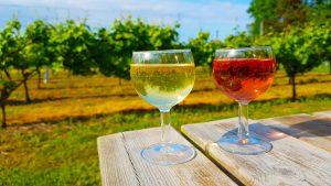 30 Fakta Om Danske Vingårde 