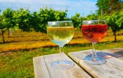 30 Fakta om Danske Vingårde