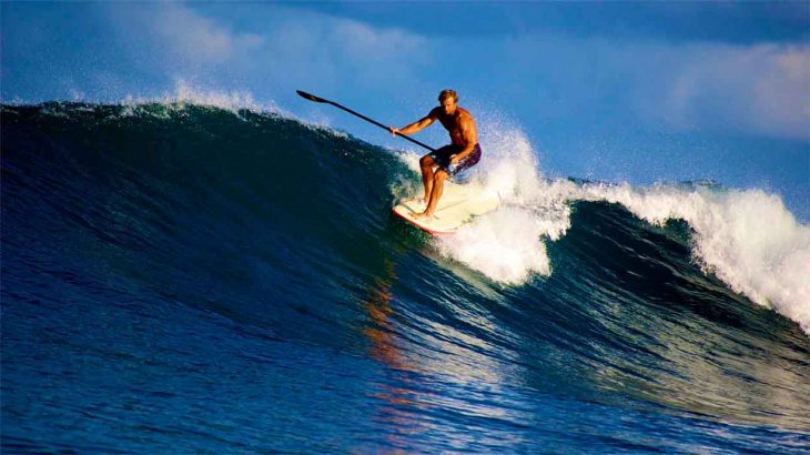 35 Fakta om Stand Up Surfing